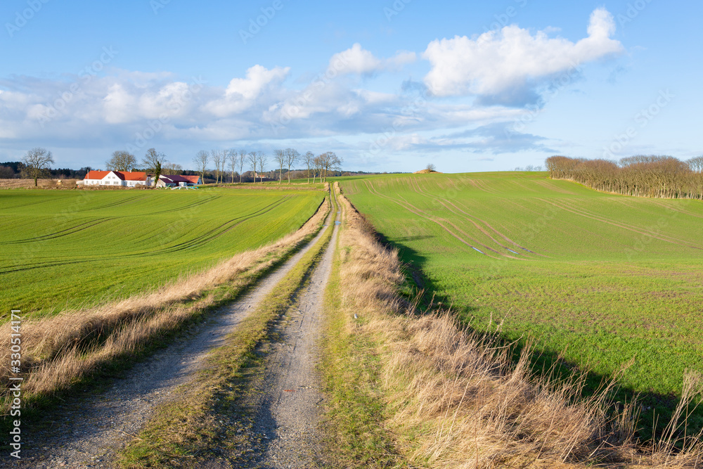 Scenic farmland with field road in Djursland, Denmark
