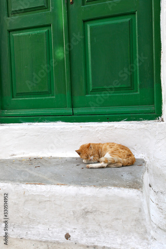 sieste de chat en Grèce © fannyes