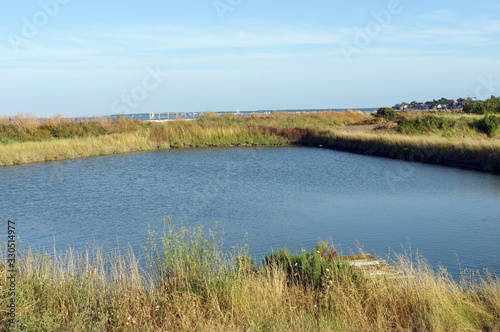 Marais salant d'Oléron