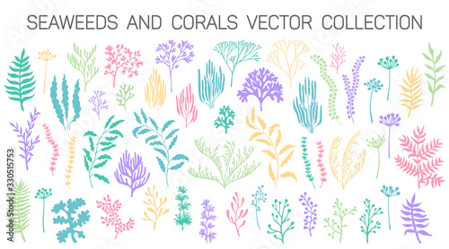Seaweeds and coral reef underwater plans vector collection. Aquarium, ocean and marine algae water plants, corals isolated on white. Seaweeds polyps silhouettes set. Branches, twigs and flowers.