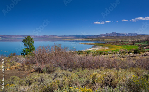 Eastern waterside of Mono Lake during summer  California  USA