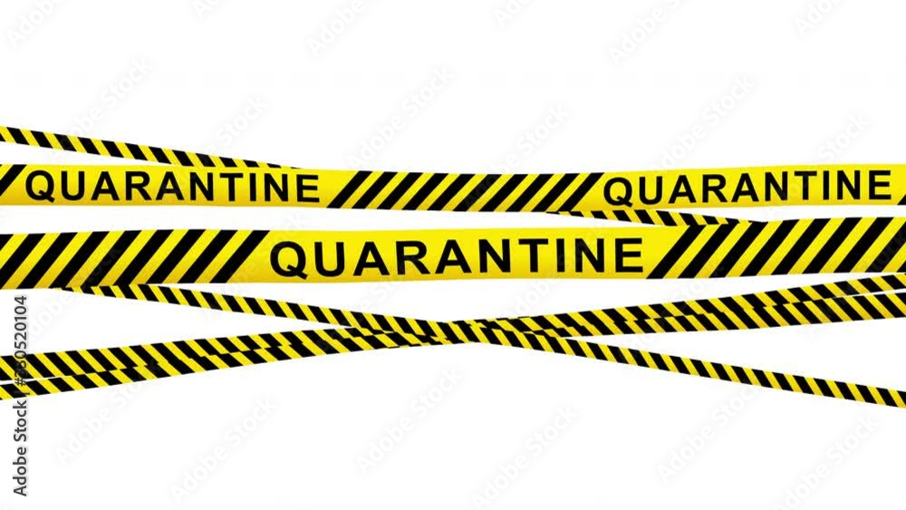 custom made wallpaper toronto digitalQuarantine Line Animation on White Background