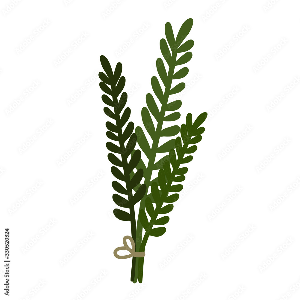 Branch. Twig. Plant. Vector image .Vector image of a branch. Branch. Twig. Plant. Vector image .Vector image of a branch.