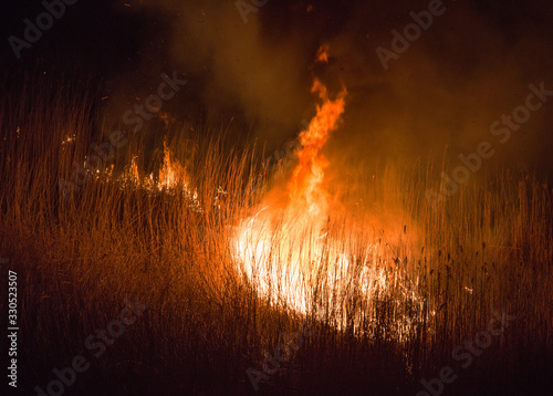 burning dry field in night time