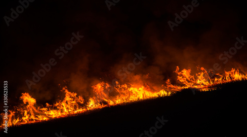 wildfire on dry field