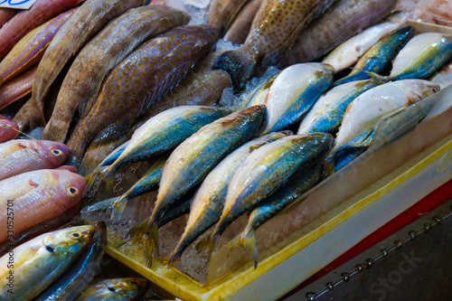 Many type colorful of seafood fish sell in fishery local market