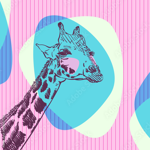 Sketch of giraffe head on blue and pink color abstract streamlined shapes on striped square background. Hand drawn vector illustration