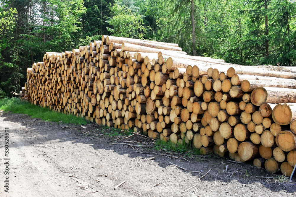 Wood harvested during bark beetle calamity in South Bohemia, Czech Republic Wood harvested during bark beetle calamity in South Bohemia, Czech Republic