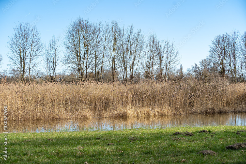 Landschaft, Altwasser im Frühling an der Donau bei Straubing Landschaft, Altwasser im Frühling an der Donau bei Straubing