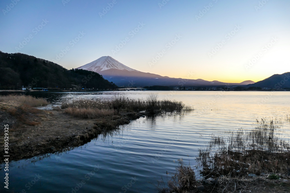 A view on Mt Fuji from the side of Kawaguchiko Lake, Japan. Soft colors of sunset - golden hour. Top of the volcano covered with a snow layer. Serenity and calmness. The lake's side is reed beds.