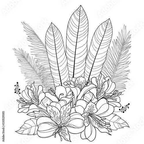 Bouquet of outline tropical Alstroemeria or Peruvian or Incas lily bunch and palm leaf in black isolated on white background. 