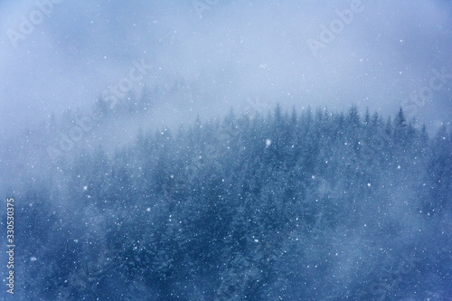 winter landscape with snowflakes and trees in mist