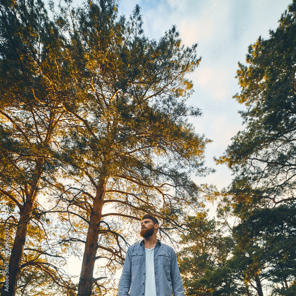 Lone man in forest. Young bearded man in the forest goes forward Square wide shot Bearded Man walking through a forest at sundown, with shades from the trees Lone man in forest. Young bearded man in the forest goes forward Square wide shot Bearded Man walking through a forest at sundown, with shades from the trees