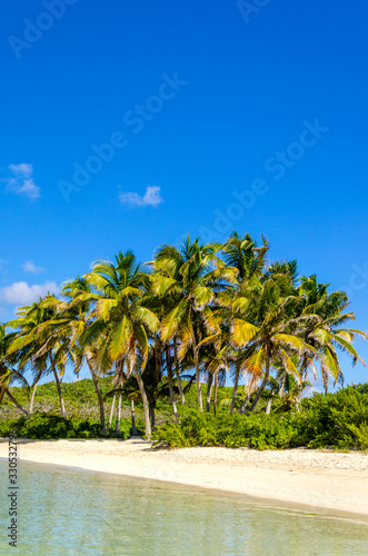 A deserted Caribbean beach showing a deep blue sky and a group of palm trees along the shore side and sandy beach by the water. 