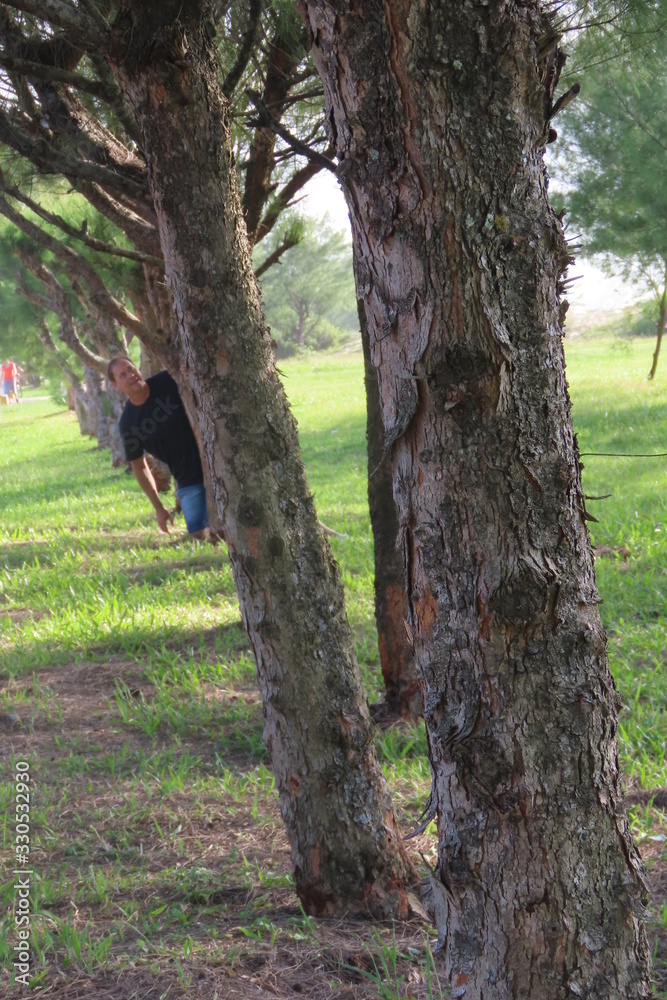 Fototapeta premium tree in the park