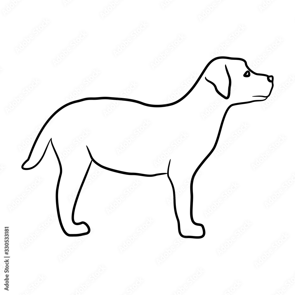 Line drawing a dog isolated on white background. Vector illustration