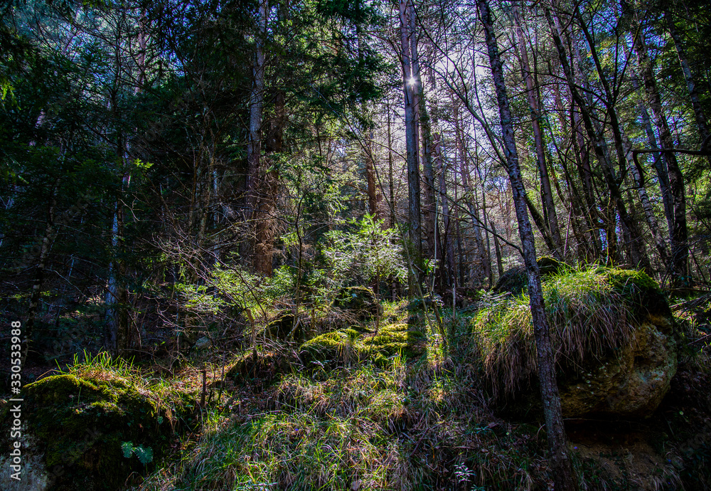 Obraz premium Breil sur Roya-Mercantour-Sentier du Mont Mangiabo