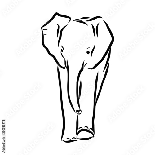 Elephant baby sketch 