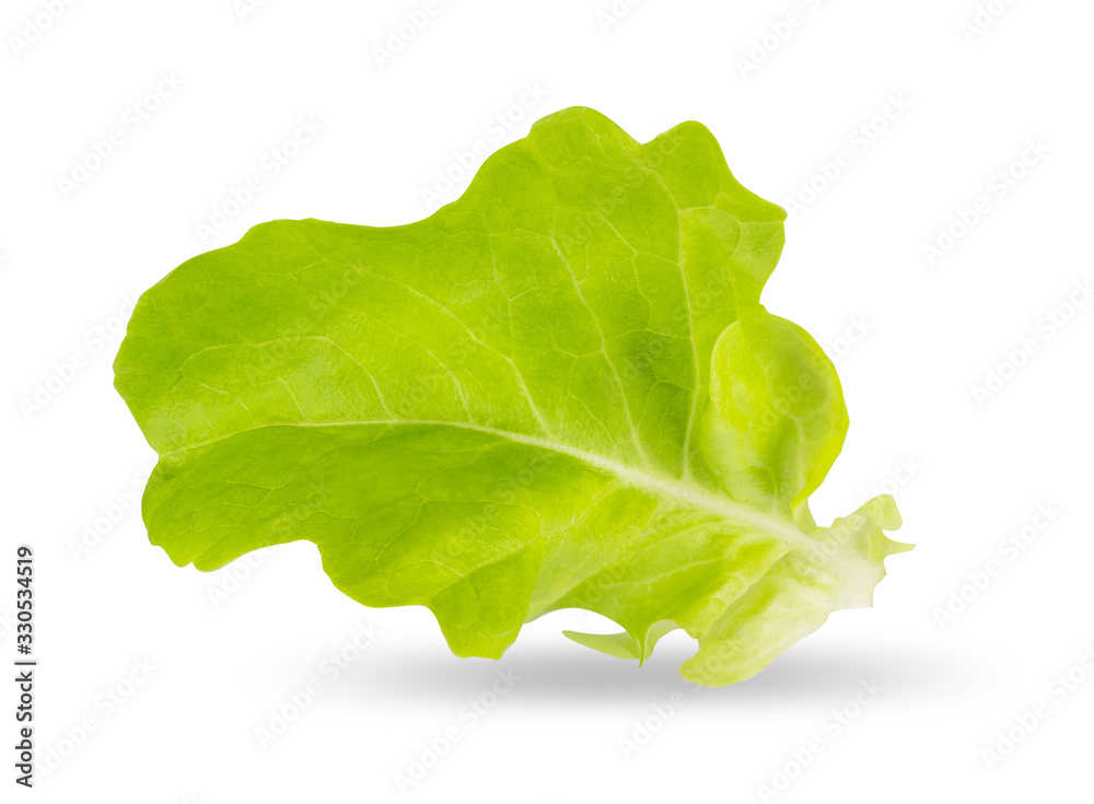 Lettuse isolated on white background with clipping path Lettuse isolated on white background with clipping path