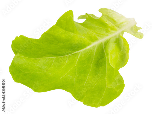 Lettuse isolated on white background with clipping path photo