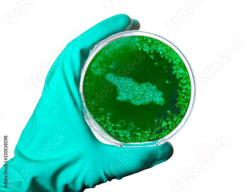 Germs in the shape of Georgia in a petri dish.(series)