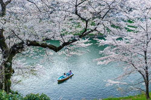 peope enjoy sakura cherry blossoms in full bloom on boats around Chidorigafuchi Park (the Imperial Palace moat). Tokyo,Japan. Travel in japan concept.