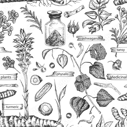 Seamless pattern with vintage hand drawn sketch medicine herbs elements isolated on white background. wormwood, turmeric, tansy, ashwagandha, shepherds, purse, ginseng. Vector illustration art.