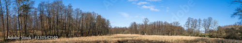 Wilderness landscape in a panorama scenery