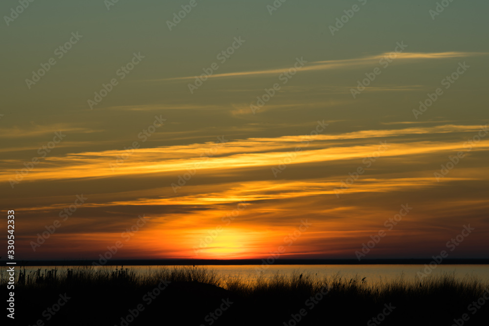 sun setting over horizon against the background of reeds
