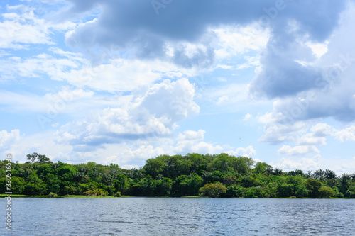 Panorama from Amazon rainforest  Brazilian wetland region.