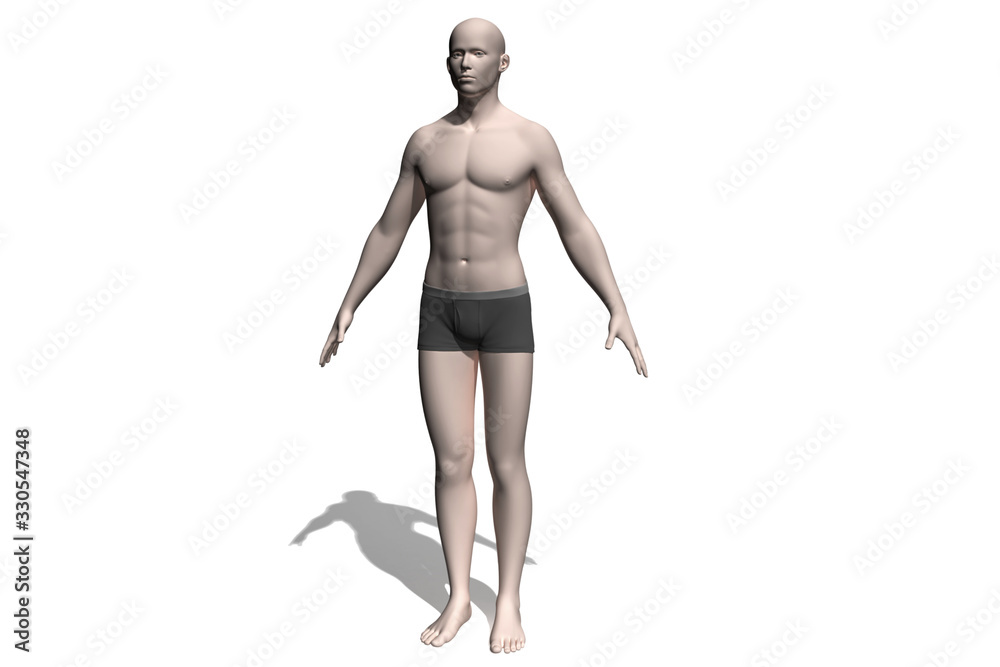 3d human model. Pictures of Human Reference For 3d Modeling. Man and woman anatomy reference 3d model. The human body isolated on white background. Human anatomy graphic drawing 3d human model. Pictures of Human Reference For 3d Modeling. Man and woman anatomy reference 3d model. The human body isolated on white background. Human anatomy graphic drawing