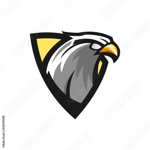 eagle head in shield vector illustration design