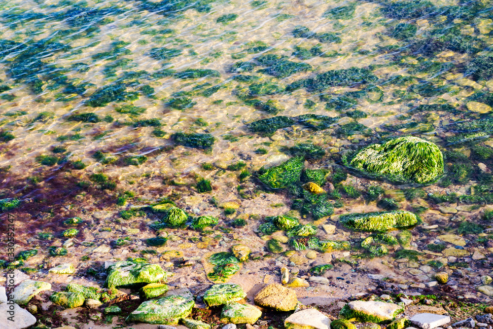coastline of the Black Sea, shallow water at low tide, through the clear water visible stones in the sand covered with algae