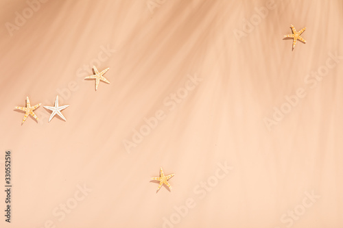 Flat with neutral color palm shadow on natural tones background. Summer vacat...