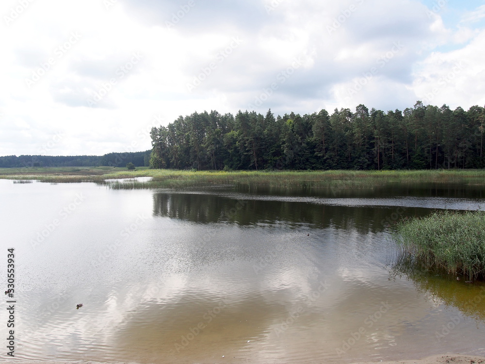 nature reserve in the town of Zwierzyniec in the eastern part of Poland.