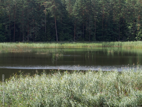 nature reserve in the town of Zwierzyniec in the eastern part of Poland.