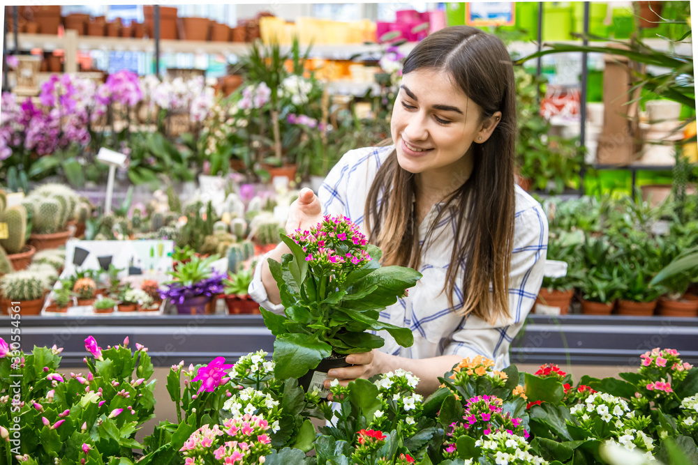 Beautiful young woman in a flower shop and choosing flowers.