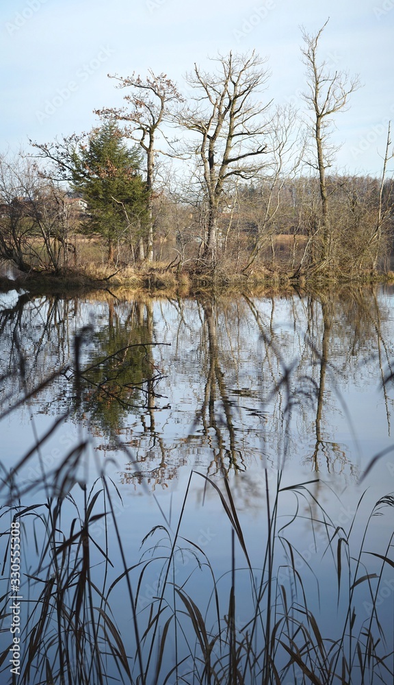 Insel im Seehamer See mit Wasserspiegelung