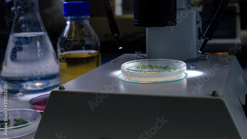 Culture in a petri dish under a light stereomicroscope is examined for pharmaceutical bioscience research. Concept of science, laboratory and study of diseases. photo