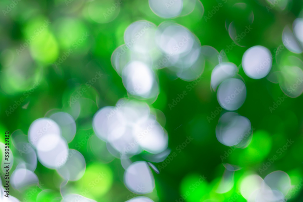 Fototapeta premium Abstract bokeh background with green background, circular arcs, beautiful.