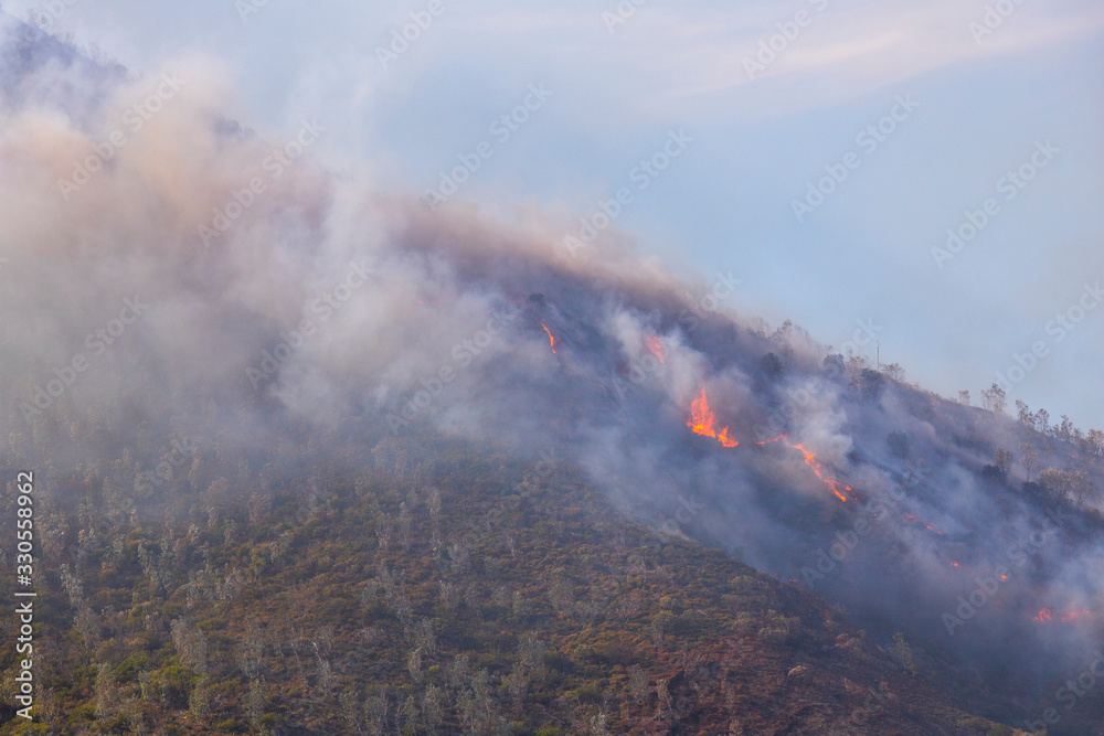 Fototapeta premium Dramatic wildfire with gale force winds on Lion's Head Mountain, Cape Town.