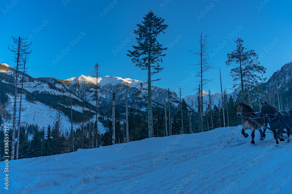 Fototapeta premium Winter in rocky mountains