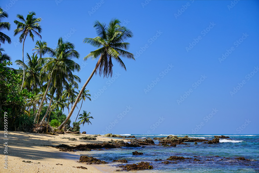 Scenic view of coconut palms and the Idian Ocean from the pristine sandy beach. The beaches of Sri Lanka (such as Hikkaduwa, Mirissa, Unawatuna) are beautiful at any time of the year. Coconut beach.