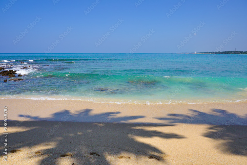 Fototapeta premium The shadow of coconut palms and the Idian Ocean from the pristine sandy beach. The beaches of Sri Lanka (such as Hikkaduwa, Mirissa, Unawatuna) are beautiful at any time of the year. Coconut beach.