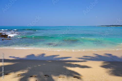 The shadow of coconut palms and the Idian Ocean from the pristine sandy beach. The beaches of Sri Lanka  such as Hikkaduwa  Mirissa  Unawatuna  are beautiful at any time of the year. Coconut beach.