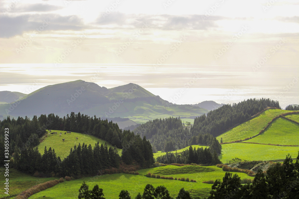 Rolling lush green hill landscape overlooking ocean in Azores, Portugal
