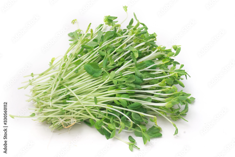 豆苗 豆苗