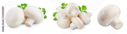 Fresh mushrooms champignon isolated on white background with clipping path and full depth of field. Set or collection