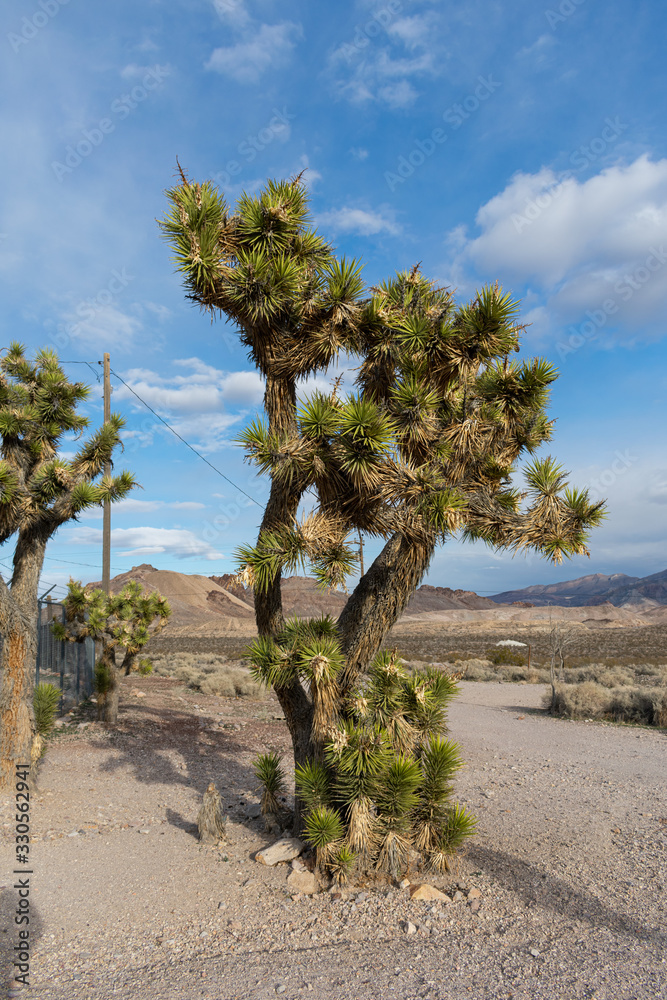 Rhyolite Ghost Town