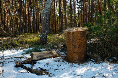 Old rusty barrel in the forest with haulms